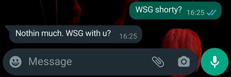 wsg mean in text|What Does WSG Mean On Snapchat, Texting